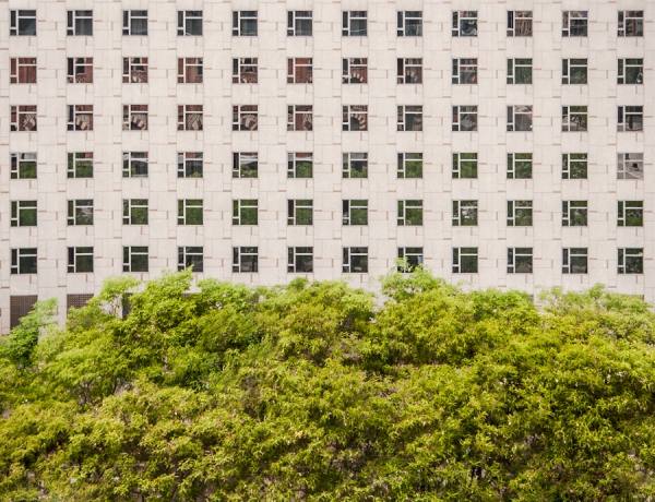 Photograph Jose Conceptes Edificio Barbudo on One Eyeland